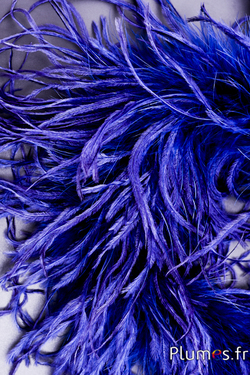 Autruche mèche  - 10 cm - bleu nuit